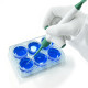 Vacuum Safety Aspiration System