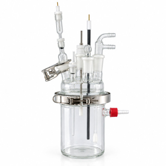 Multiport Corrosion Cell Kit